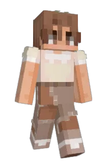 DiWitherSkull Minecraft avatar full body