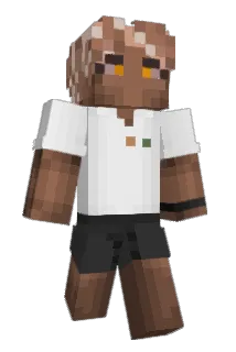 Di_Di__ Minecraft avatar full body