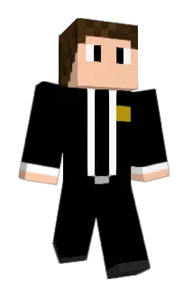 Diaan_Botes Minecraft avatar full body