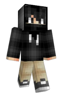 Diagnostics Minecraft avatar full body