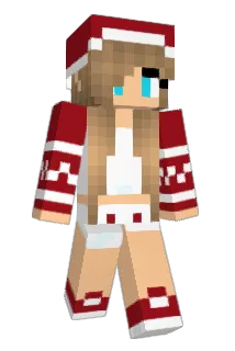 Diamond1567 Minecraft avatar full body
