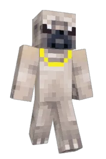 DiamondCury Minecraft avatar full body