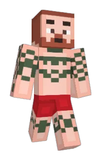DiamondGamer380 Minecraft avatar full body