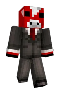 DiamondHoe6666 Minecraft avatar full body