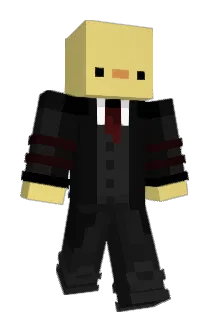 DiamondNinja982 Minecraft avatar full body