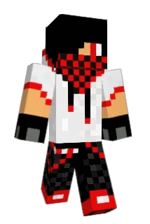DiamondRingo Minecraft avatar full body