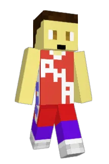 DiamondTiger2006 Minecraft avatar full body