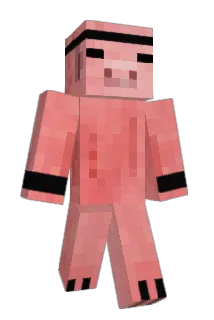 DiamondZz3 Minecraft avatar full body