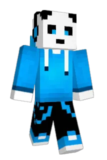 Diamonds2195 Minecraft avatar full body