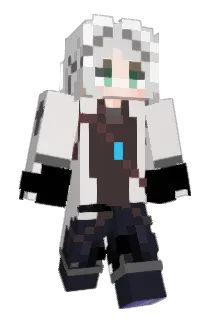 Dian311 Minecraft avatar full body