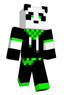 Diarium Minecraft avatar full body