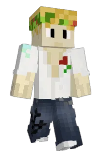 Diart357 Minecraft avatar full body
