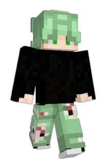Diart3s Minecraft avatar full body