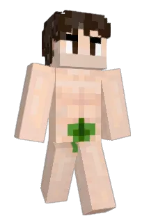 DicclezzFemboy Minecraft avatar full body