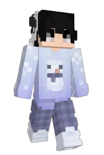 Dicipline Minecraft avatar full body