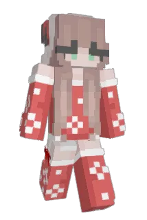 Didaboo123 Minecraft avatar full body