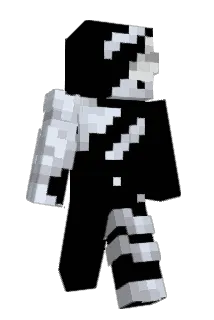 Diddemann Minecraft avatar full body