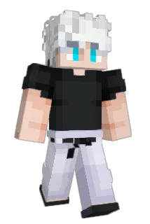 Diddo487 Minecraft avatar full body