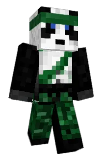 Diddydab Minecraft avatar full body
