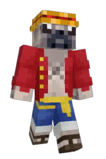 Didonezin Minecraft avatar full body