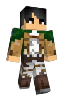DidzPlays Minecraft avatar full body