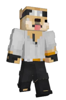 DieTT Minecraft avatar full body
