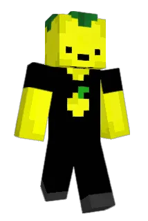 DiegoRG06 Minecraft avatar full body