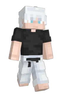 Diegoco77 Minecraft avatar full body