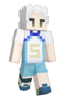 Diegouzz33 Minecraft avatar full body