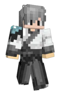 DiendGeming Minecraft avatar full body