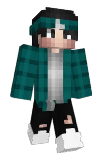 Dierenae Minecraft avatar full body
