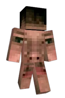 Diexy1337 Minecraft avatar full body