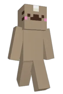 Differentlifez Minecraft avatar full body