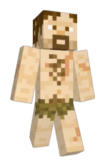 Diflague Minecraft avatar full body