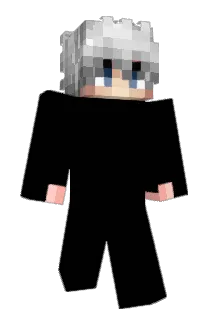 Diforxed Minecraft avatar full body