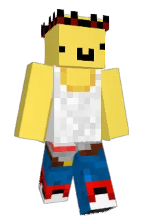 Diginite Minecraft avatar full body