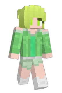 Diginy Minecraft avatar full body