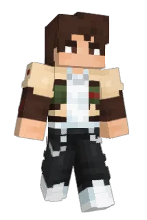 Digzzzzzzzz Minecraft avatar full body