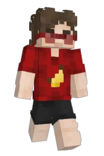 Diiscovery Minecraft avatar full body