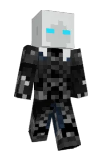Diittin Minecraft avatar full body