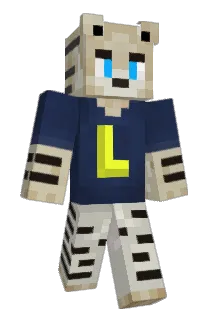 Dikkuh_BMW Minecraft avatar full body