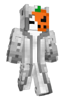 Diktatoren Minecraft avatar full body