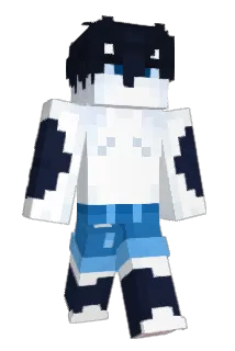 DilemmaSystem Minecraft avatar full body