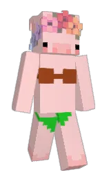 Custom render preview