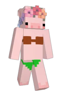 DilfSlayer1 Minecraft avatar full body