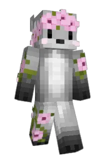Diligord Minecraft avatar full body
