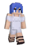 DilleDing Minecraft avatar full body
