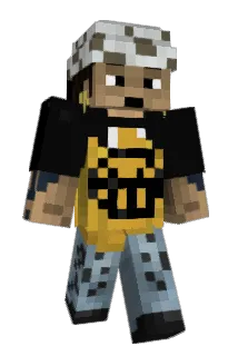 DimDelights Minecraft avatar full body