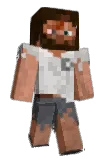 Diman912 Minecraft avatar full body