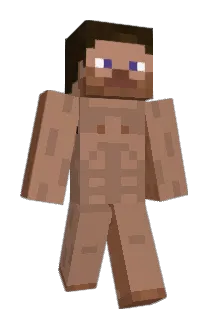 DimarcoNN Minecraft avatar full body